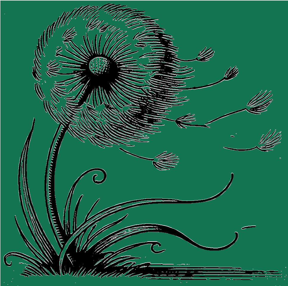 Dandelion